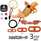 トカゲ用リード 蜥蜴 爬虫類 | PlusNao | 詳細画像1 