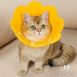 エリザベスカラー 猫 犬 | PlusNao | 詳細画像1
