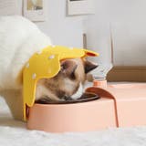 エリザベスカラー 猫 犬 | PlusNao | 詳細画像2