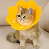 エリザベスカラー 猫 犬 | PlusNao | 詳細画像3