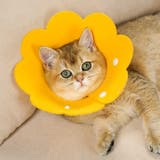 エリザベスカラー 猫 犬 | PlusNao | 詳細画像4