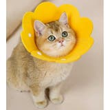 エリザベスカラー 猫 犬 | PlusNao | 詳細画像5