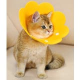 エリザベスカラー 猫 犬 | PlusNao | 詳細画像6