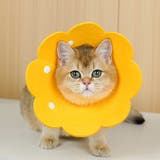 エリザベスカラー 猫 犬 | PlusNao | 詳細画像7
