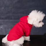 ペットウェア パーカー ペット服 | PlusNao | 詳細画像4