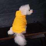 ペットウェア パーカー ペット服 | PlusNao | 詳細画像6