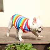 ドッグウエア ペットウエア タンクトップ | PlusNao | 詳細画像6