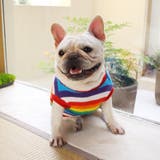 ドッグウエア ペットウエア タンクトップ | PlusNao | 詳細画像7