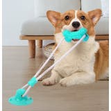 ペット用おもちゃ ラバートイ ペットトイ | PlusNao | 詳細画像2 