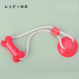 ペット用おもちゃ ラバートイ ペットトイ | PlusNao | 詳細画像9 