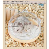 ハムスタートイレ 砂浴び容器 砂風呂 | PlusNao | 詳細画像20