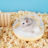 ハムスタートイレ 砂浴び容器 砂風呂 | PlusNao | 詳細画像7
