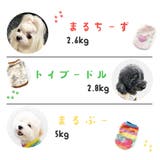 ドッグウエア 犬服 ペット服 | PlusNao | 詳細画像15 