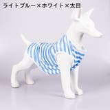 ペットウェア タンクトップ 犬服 | PlusNao | 詳細画像11 