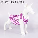ペットウェア タンクトップ 犬服 | PlusNao | 詳細画像12 