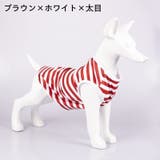 ペットウェア タンクトップ 犬服 | PlusNao | 詳細画像13 