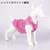 ペットウェア タンクトップ 犬服 | PlusNao | 詳細画像14 