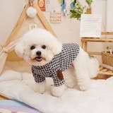 ペットウェア 犬服 猫服 | PlusNao | 詳細画像2