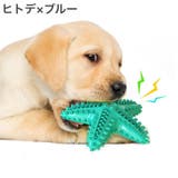 ペット用おもちゃ 噛むおもちゃ ラバートイ | PlusNao | 詳細画像11