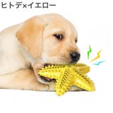 ペット用おもちゃ 噛むおもちゃ ラバートイ | PlusNao | 詳細画像12