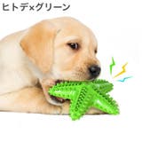 ペット用おもちゃ 噛むおもちゃ ラバートイ | PlusNao | 詳細画像13