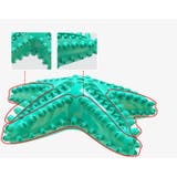 ペット用おもちゃ 噛むおもちゃ ラバートイ | PlusNao | 詳細画像8