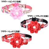 猫用首輪 カラー セーフティバックル | PlusNao | 詳細画像14