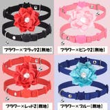 猫用首輪 カラー セーフティバックル | PlusNao | 詳細画像15