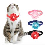 猫用首輪 カラー セーフティバックル | PlusNao | 詳細画像2