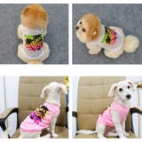 ペットウェア タンクトップ 犬服 | PlusNao | 詳細画像2 