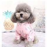 ペットウェア ドッグウェア 犬用 | PlusNao | 詳細画像4 