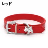 首輪 犬用 ペット用品 | PlusNao | 詳細画像6