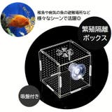 繁殖隔離ボックス 産卵ケース シングル | PlusNao | 詳細画像1