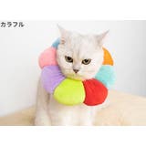 エリザベスカラー 猫用 犬用 | PlusNao | 詳細画像11