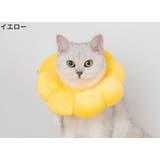 エリザベスカラー 猫用 犬用 | PlusNao | 詳細画像12
