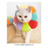 エリザベスカラー 猫用 犬用 | PlusNao | 詳細画像6
