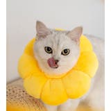 エリザベスカラー 猫用 犬用 | PlusNao | 詳細画像7