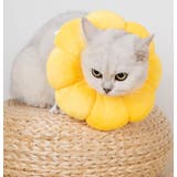 エリザベスカラー 猫用 犬用 | PlusNao | 詳細画像9