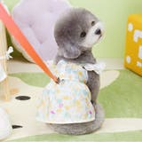 ペットウェア ワンピース Dカン | PlusNao | 詳細画像6 