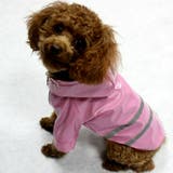 犬用レインコート ドッグウェア 雨具 | PlusNao | 詳細画像13