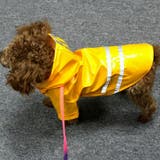 犬用レインコート ドッグウェア 雨具 | PlusNao | 詳細画像3