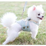 ハーネスリード ペット用品 小型犬 | PlusNao | 詳細画像2 