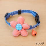 猫用首輪 チョーカー ネコ | PlusNao | 詳細画像17 