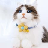 猫用首輪 チョーカー ネコ | PlusNao | 詳細画像2 