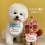 ペット用 バースデースタイ 帽子 | PlusNao | 詳細画像3