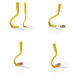 マダニ取りスティック ペット用 犬用 | PlusNao | 詳細画像2