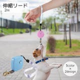 犬用伸縮リード 2m ペット用品 | PlusNao | 詳細画像1 