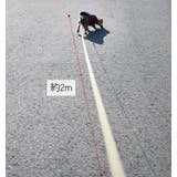 犬用伸縮リード 2m ペット用品 | PlusNao | 詳細画像11 