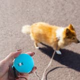 犬用伸縮リード 2m ペット用品 | PlusNao | 詳細画像3 