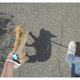 犬用伸縮リード 2m ペット用品 | PlusNao | 詳細画像4 